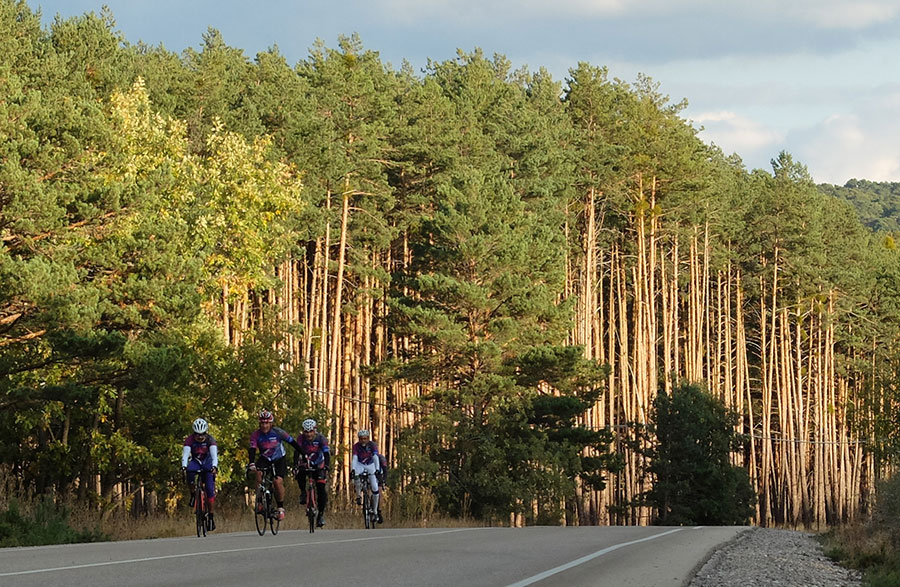 Cyclistes sur la route