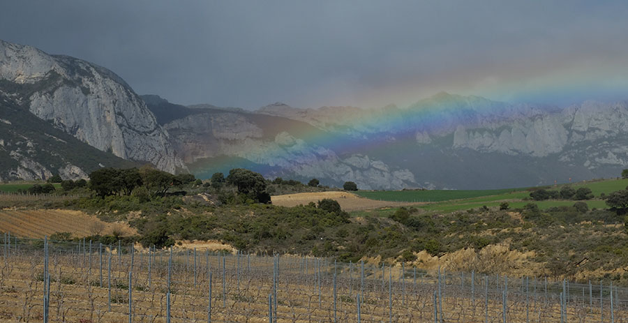 Rothschild Vega-Sicilia
