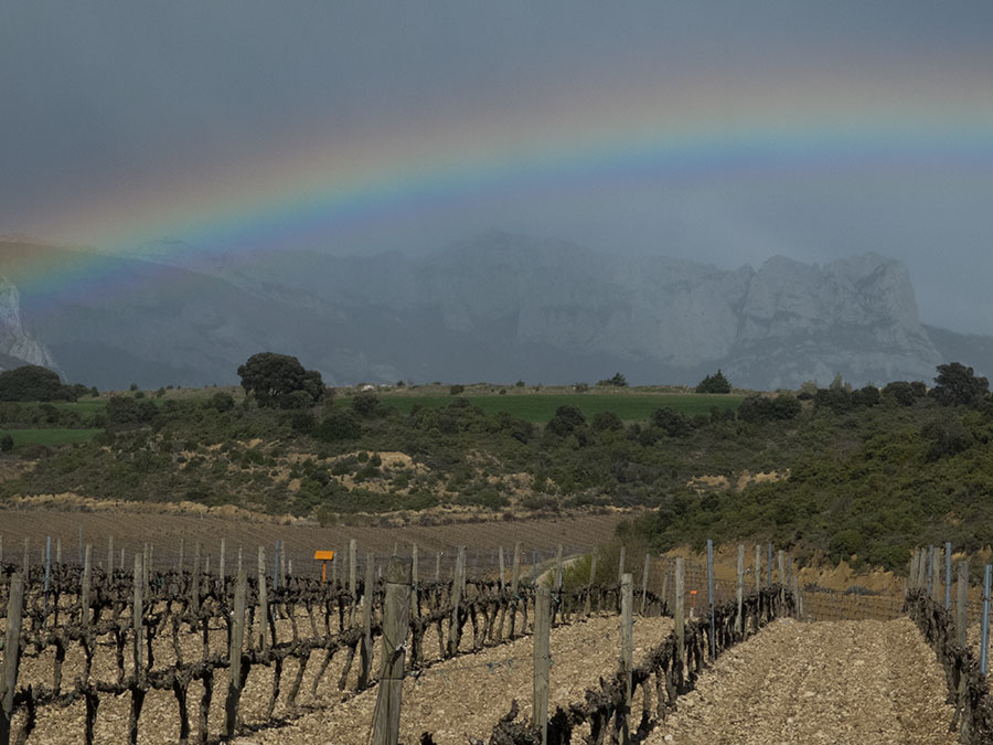 Rothschild Vega-Sicilia