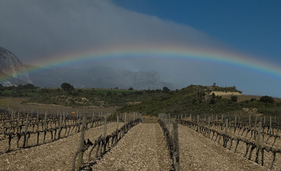 Rothschild Vega-Sicilia