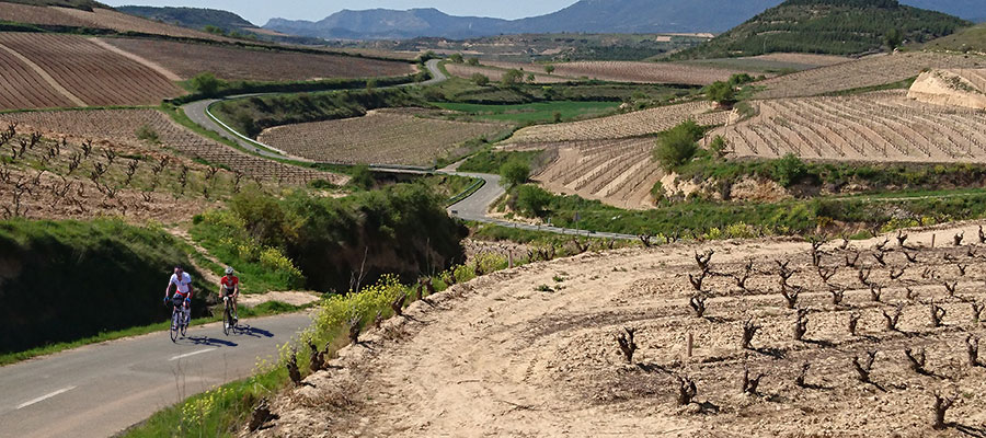 Pasafotos Fuentes del Vino 05