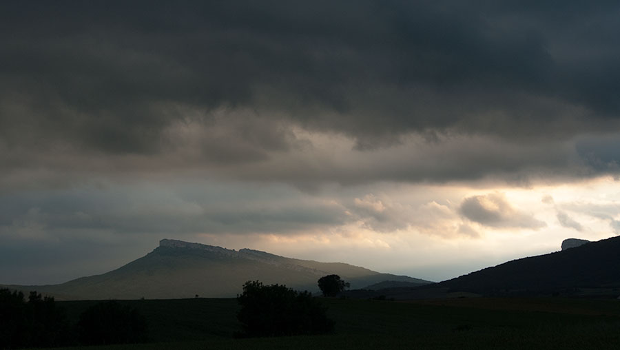 Fuentes del Vino_La Muela de San Roman
