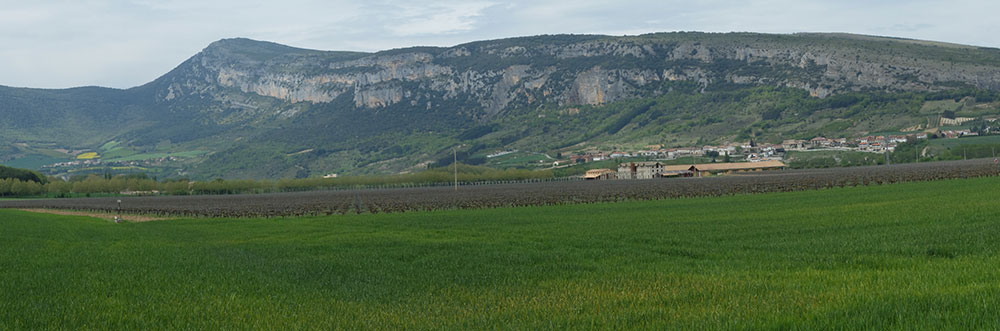 Fuentes del Vino_ Otazu Caves