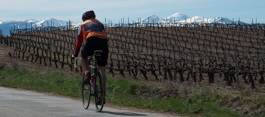 Pasafotos Fuentes del Vino 05