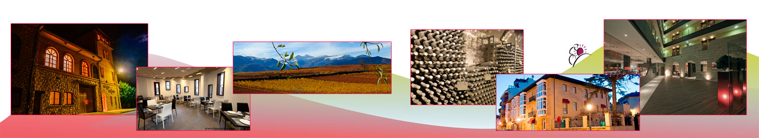 Combinado hoteles Fuentes del Vino