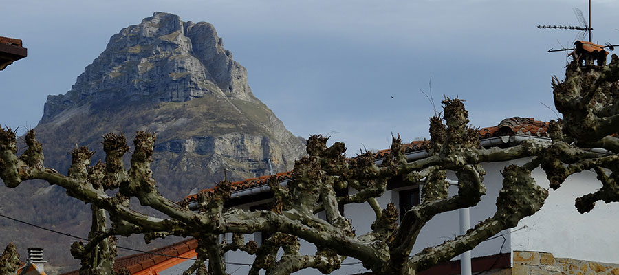 Pasafotos Fuentes del Vino 02