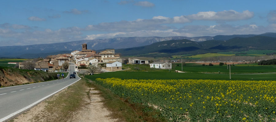 Fuentes del Vino Oco