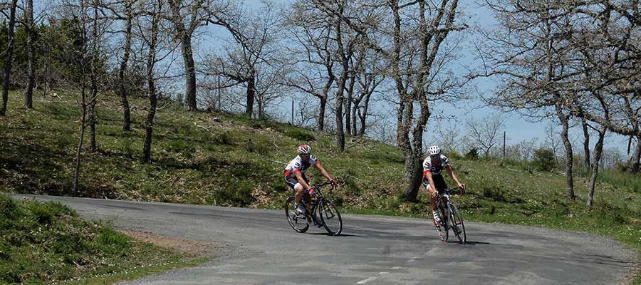 Fuentes del Vino Sancho_Leza